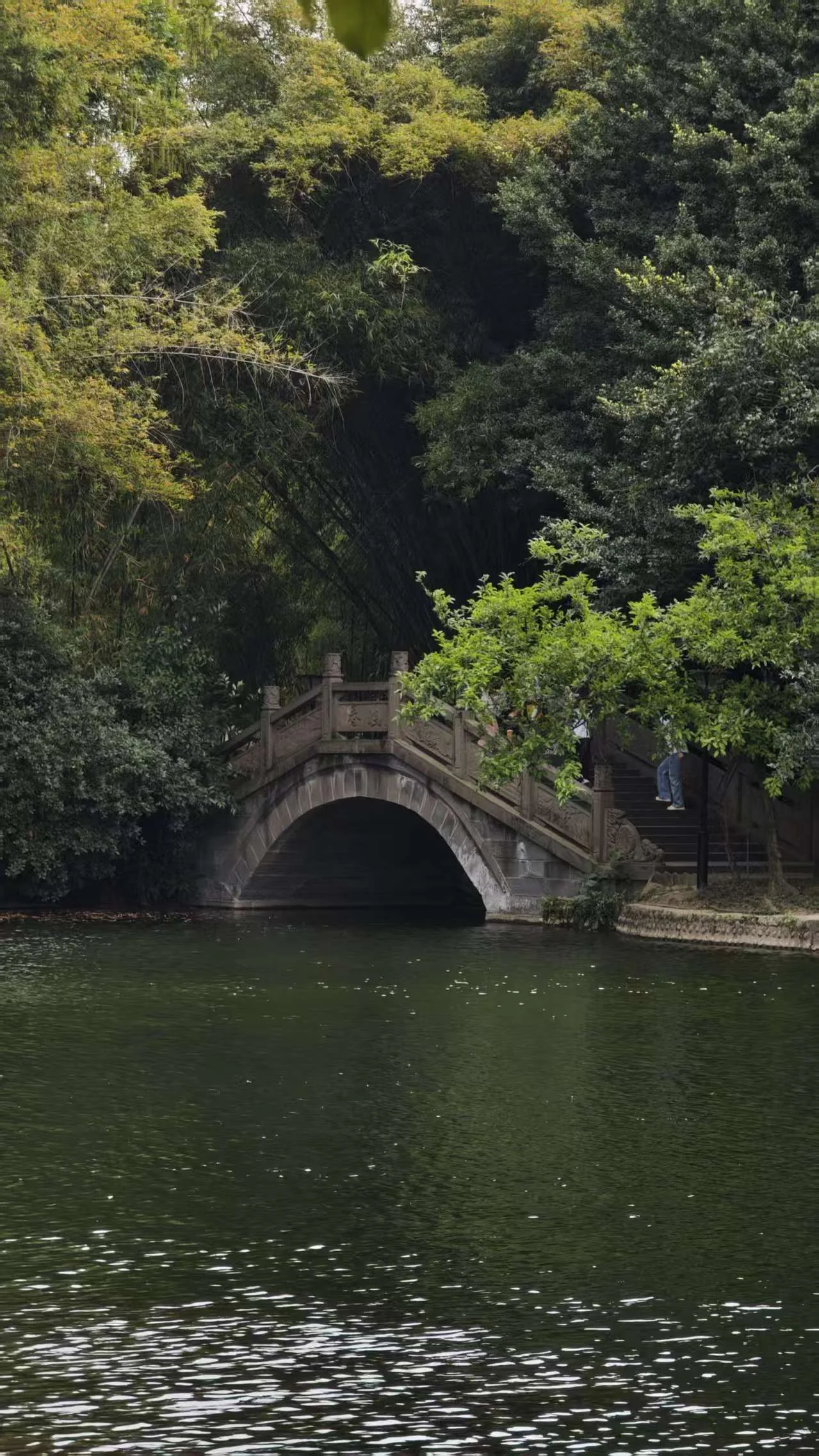 双流闲行